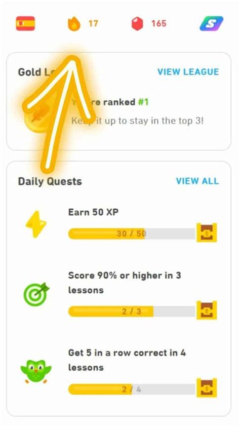 duolingo pause streak